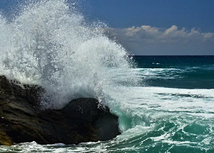 El Casa Checa 4 Appartement *