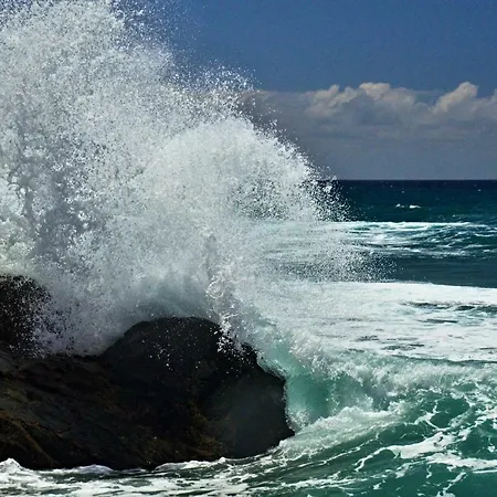 El Casa Checa 4 公寓 *